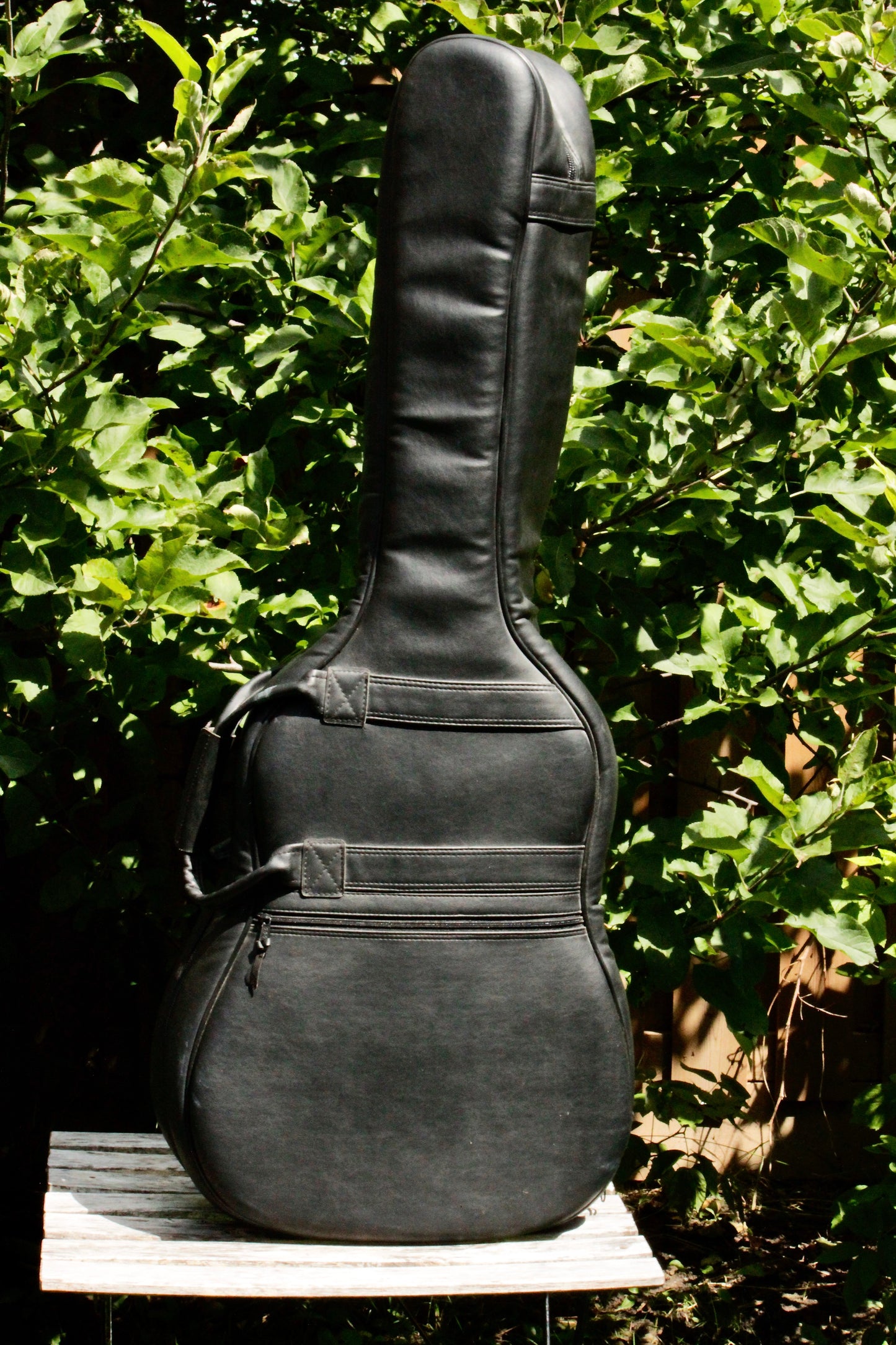 Takamine No 5 Concert Classical Guitar Japan 2000s