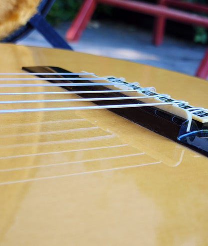 Yamaha GC-5 Concert Classical Guitar Signed by Ezaki, Solid Spruce, Indian Rosewood 1979