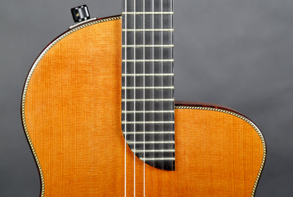 Rick Turner RN6 Nylon String Acoustic-Electric 1996 #427 (Early Version!)