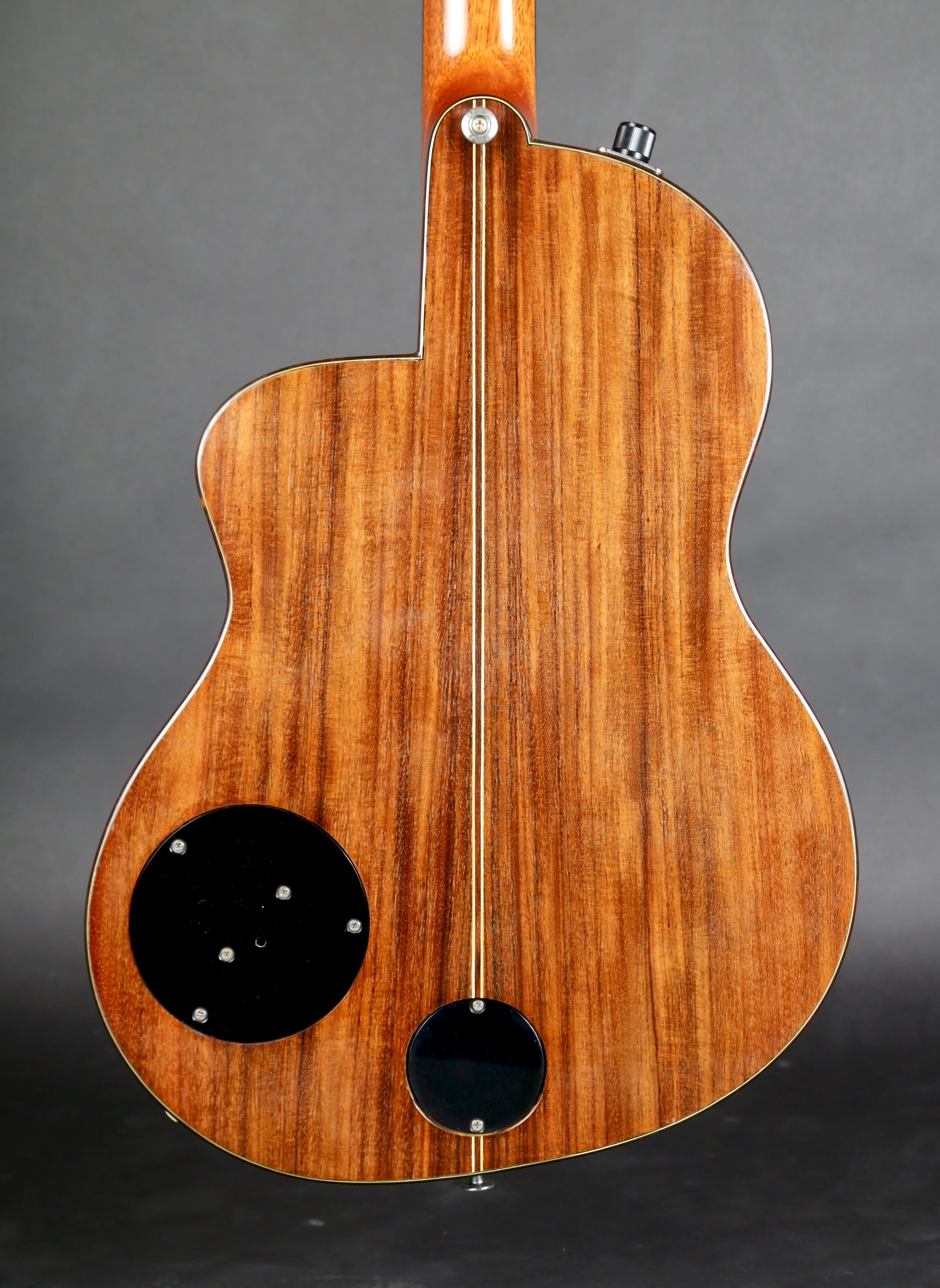 Rick Turner RN6 Nylon String Acoustic-Electric 1996 #427 (Early Version!)