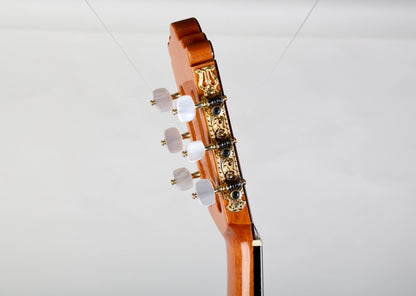 Jose Ramirez 2E Classical Guitar Handmade in Spain 2006, Solid Cedar, IRW