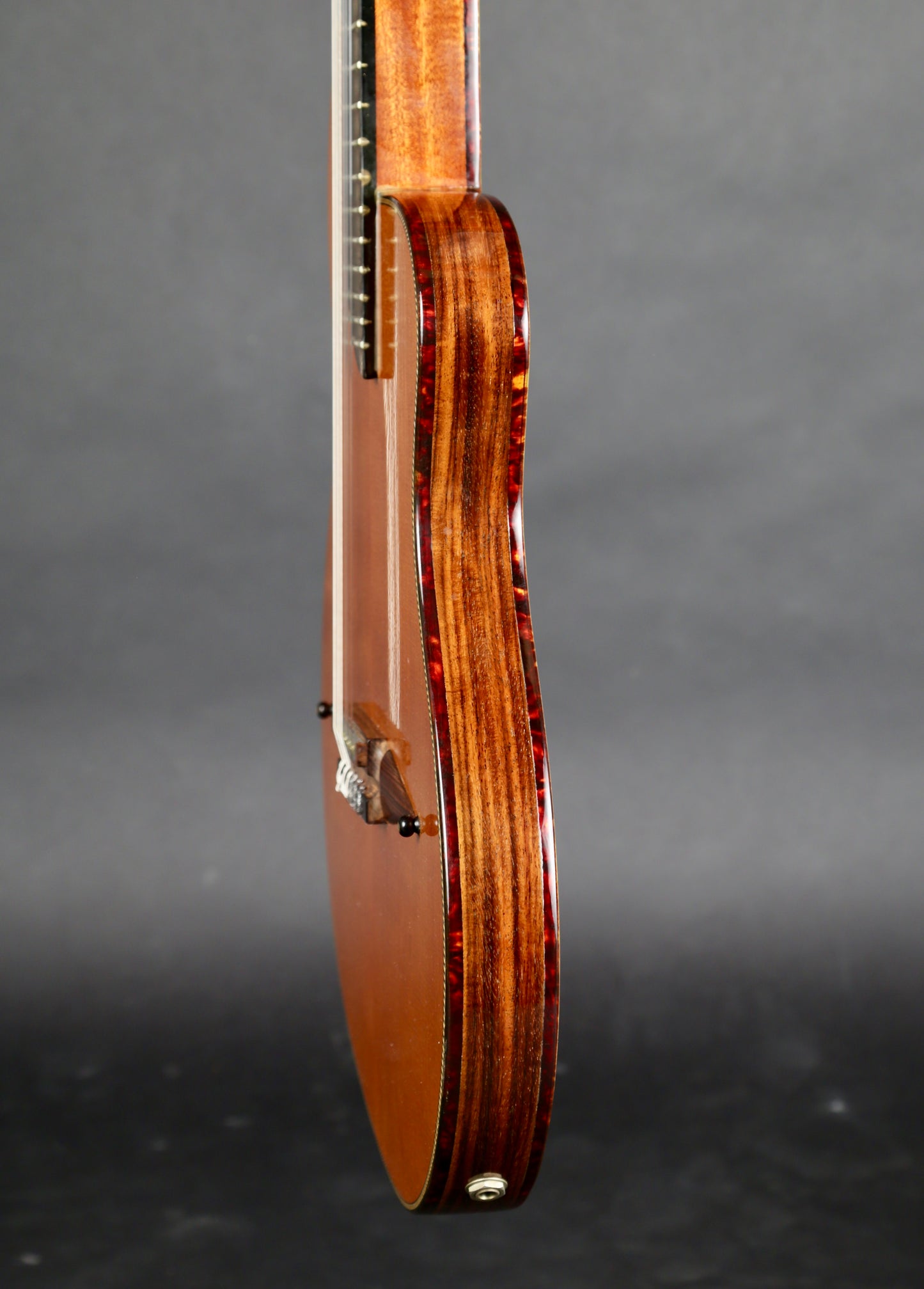 Rick Turner RN6 Nylon String Acoustic-Electric 1996 #427 (Early Version!)