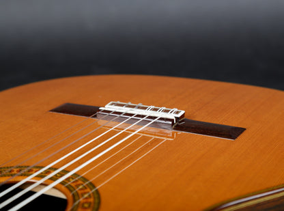 Asturias Standard Handmade Classical Guitar