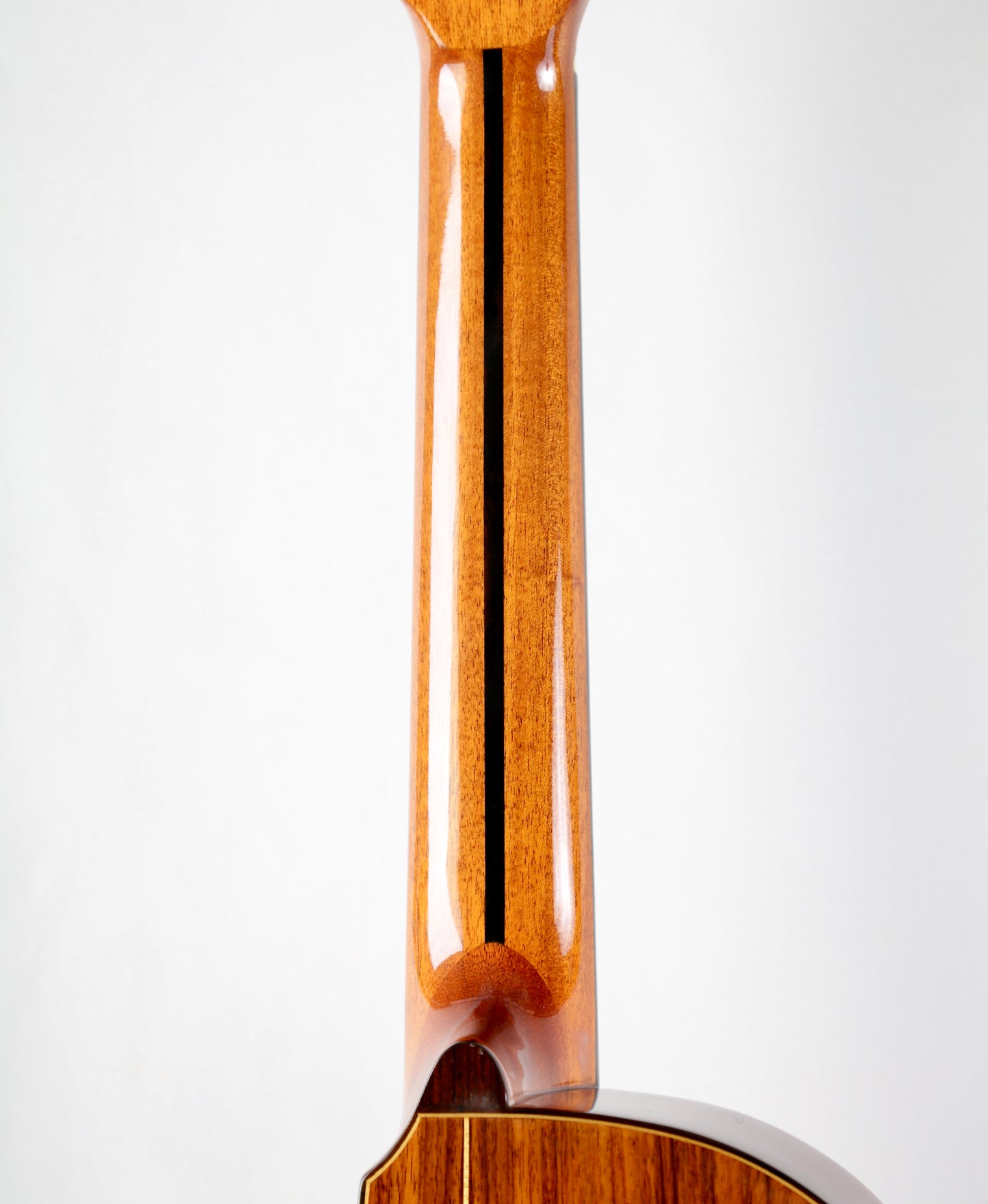 Jose Ramirez 2N-CWE Cutaway Nylon String Acoustic Electric Guitar Handmade in Spain 2008, Solid Cedar, IRW