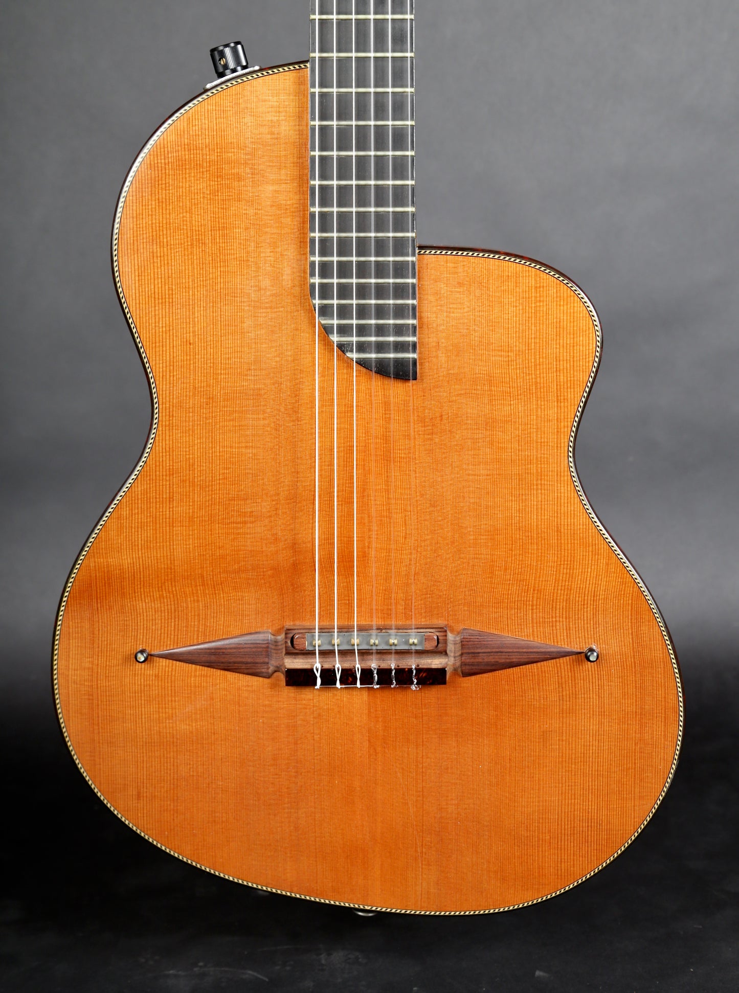 Rick Turner RN6 Nylon String Acoustic-Electric 1996 #427 (Early Version!)