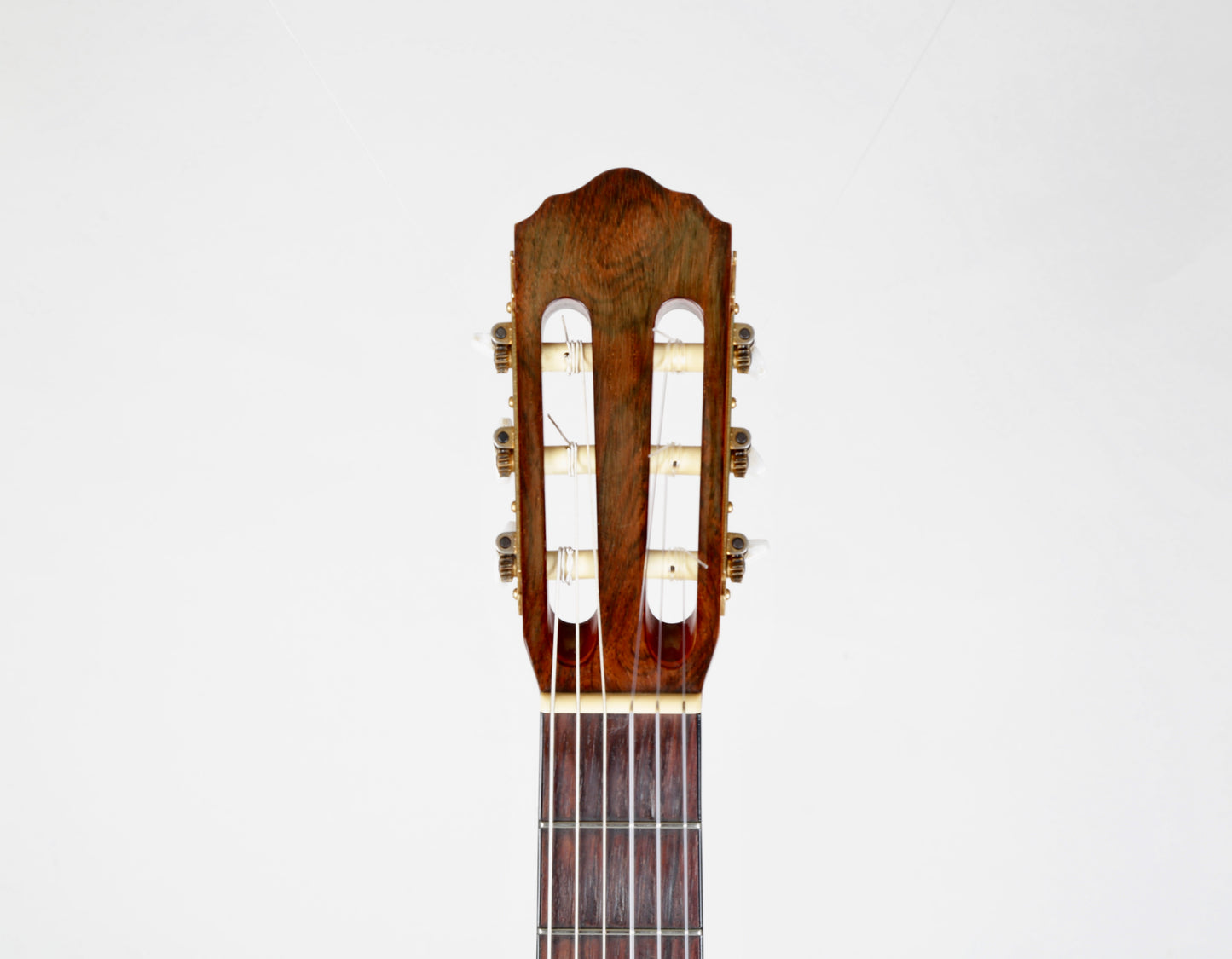 Morris MC-50 Classical Guitar Macassar Ebony Japan 2000s