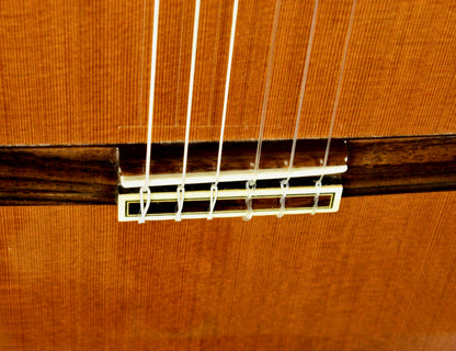Morris MC-50 Classical Guitar BRW Back and Sides Japan 1979