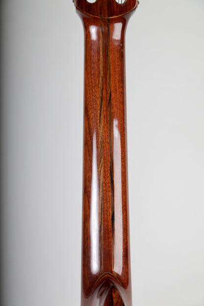 Giannini AWN C1 Classical Guitar Spruce Top, BRW Back and Sides, Brazil 1970s (642 mm Scale)