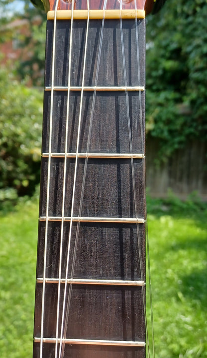 Hiroshi Tamura P50 Handmade Classical Guitar Signed by Tamura Japan 1969