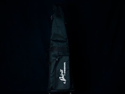 Steinberger Spirit GT-Pro Deluxe 2010 with upgrades