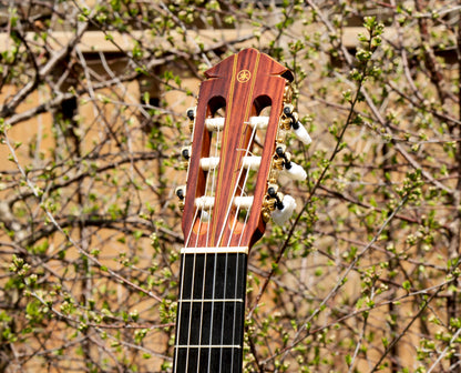 Yamaha GC-7S Handmade Concert Classical Guitar, Signed by Shuhiro Harada, Solid Cedar, IRW 1976