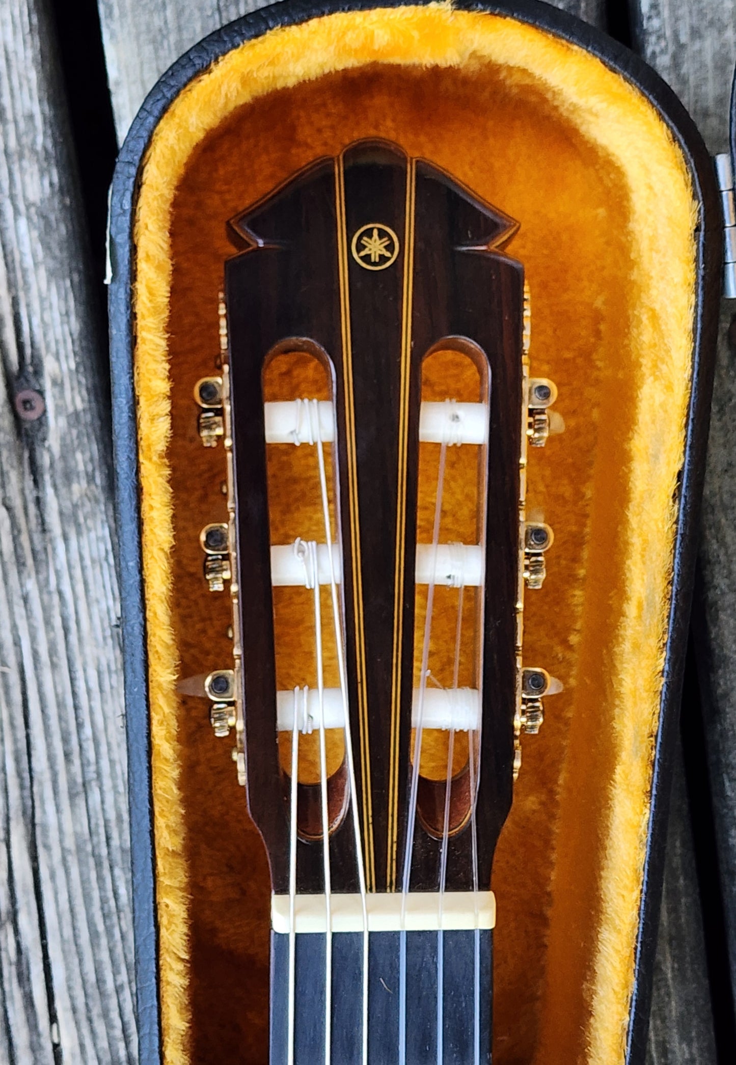 Yamaha GC-5S Concert Classical Guitar Solid Cedar Signed by Harada 1977