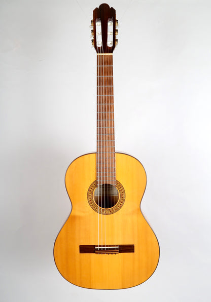 Antonio Sanchez 1018 Handmade Flamenco Guitar. Solid Spruce Top, Sycamore Back and Sides, Spain 2001