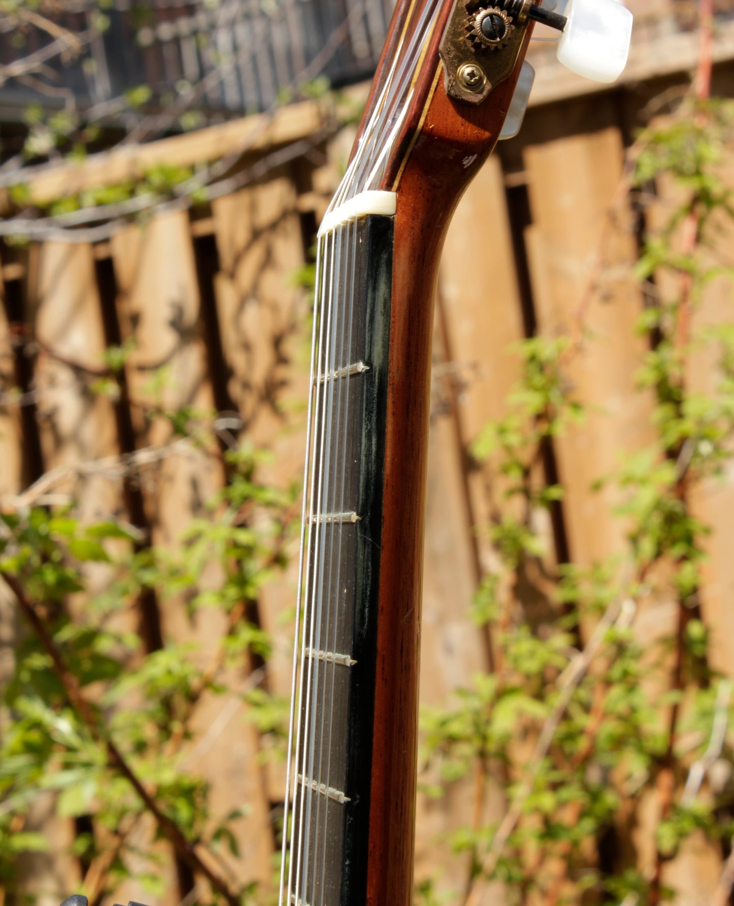 Amalio Burguet 2M Handmade Classical Guitar Spain 2001