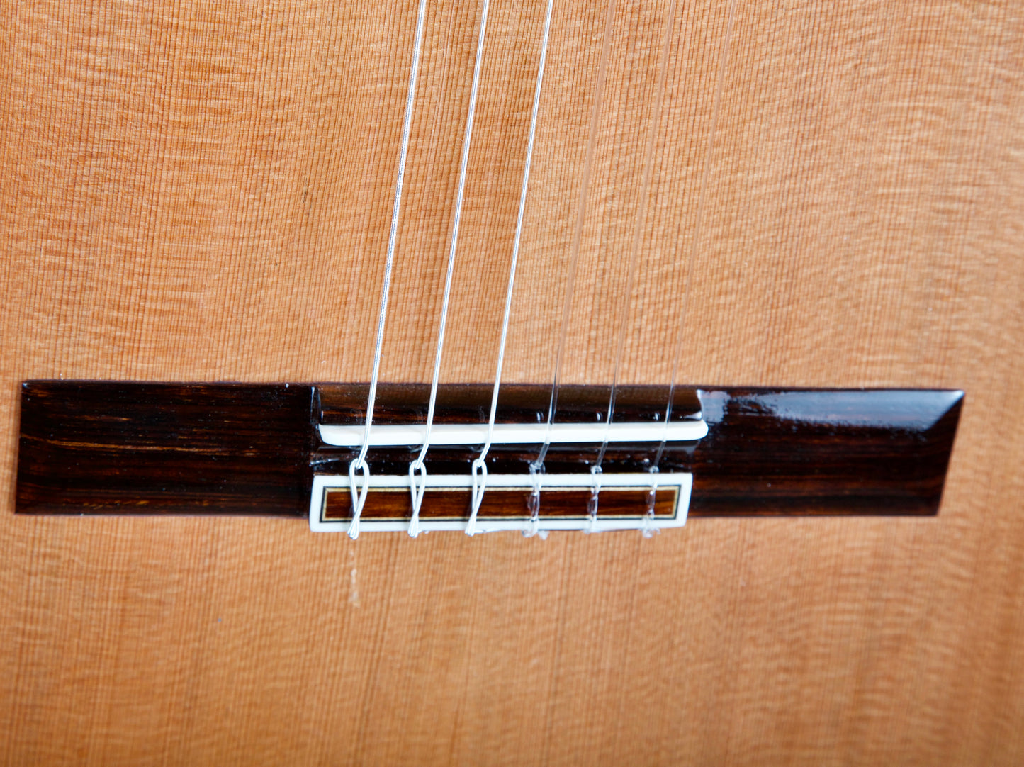Morris MC-50 Classical Guitar Beautiful BRW Back Japan