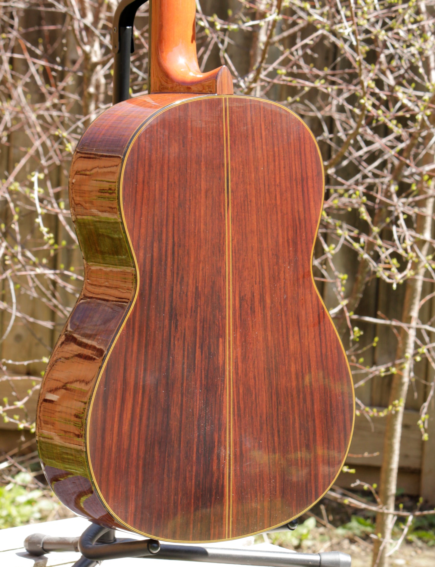 Yamaha GC-11C Grand Concert Classical Guitar 2007 Solid Cedar, IRW