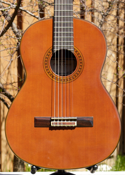 Yamaha GC-11C Grand Concert Classical Guitar 2007 Solid Cedar, IRW