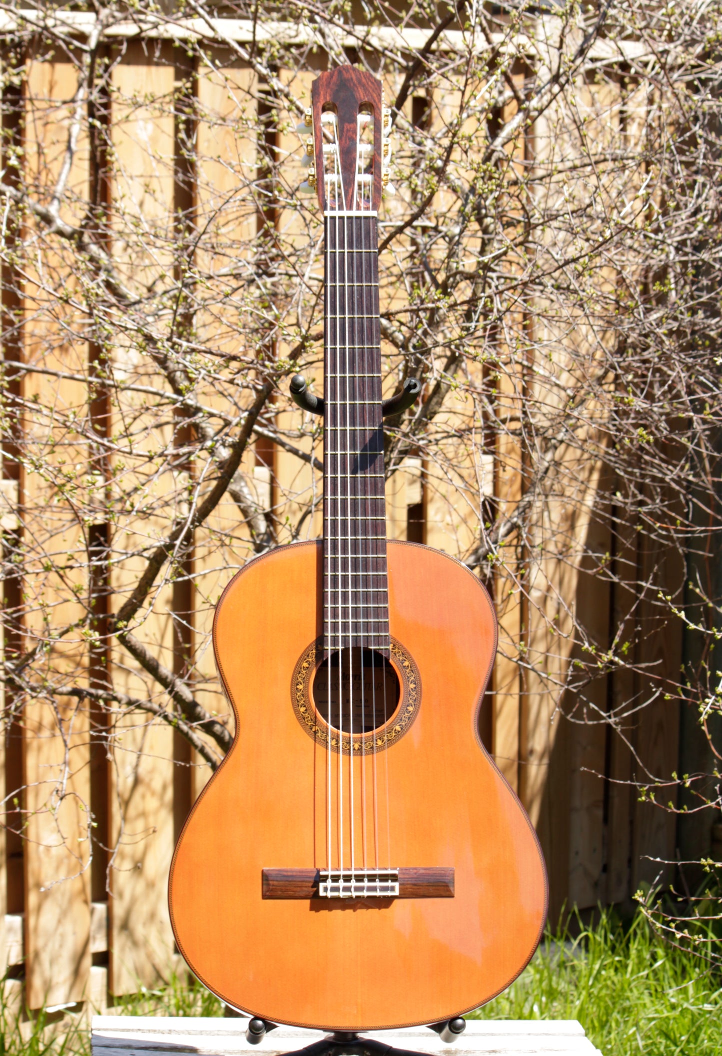 Morris MC-50 Classical Guitar Beautiful BRW Japan 1980s