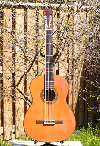 Morris MC-50 Classical Guitar Beautiful BRW Japan 1980s