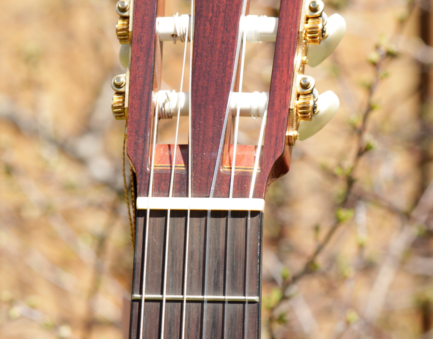 Yamaha GC-11C Grand Concert Classical Guitar 2007 Solid Cedar, IRW