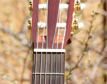 Yamaha GC-11C Grand Concert Classical Guitar 2007 Solid Cedar, IRW
