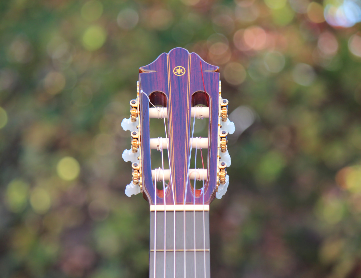 Yamaha GC-7M Concert Classical Guitar Shuhiro Harada, Solid Spruce, Indian Rosowood 1978