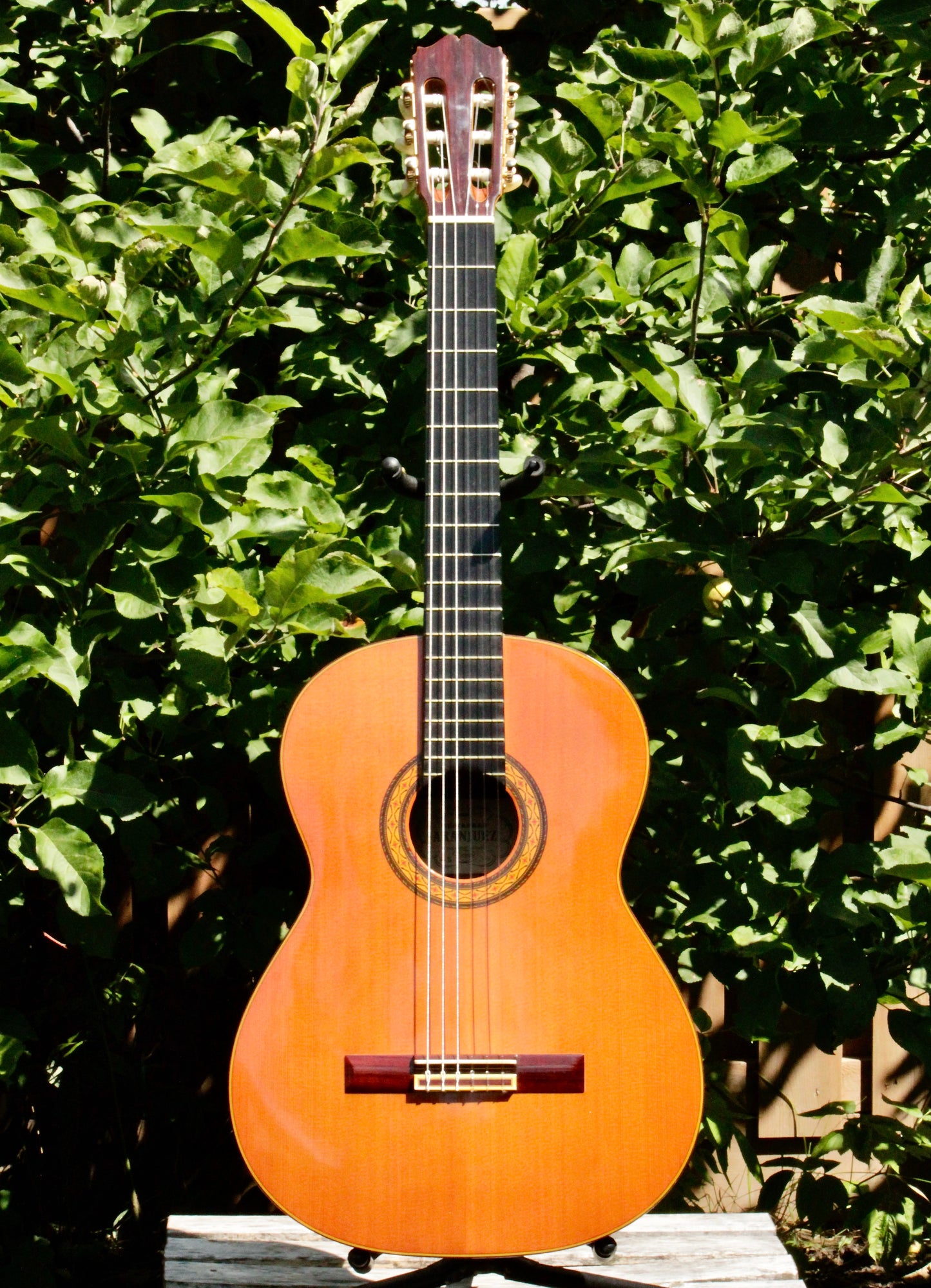 Takamine Aranjuez No 5 Kohno Top Solid Cedar Handmade Classical Guitar Japan 1977