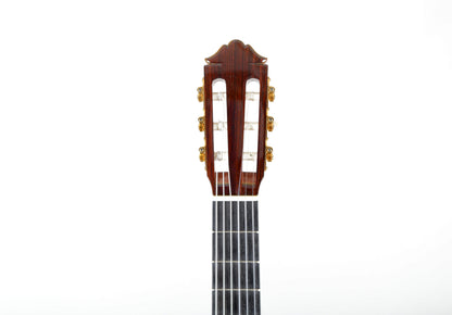 Yamaha GC-31C Grand Concert Classical Guitar Signed by Luthier 2008 Solid Cedar, Solid IRW
