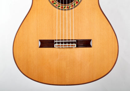 Jose Ramirez 1NE Classical Guitar Handmade in Spain 2017, Solid Cedar, IRW