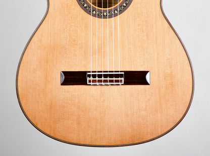 Morris MC-50 Classical Guitar Beautiful BRW Back Japan