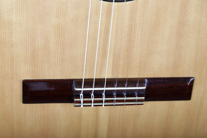Giannini AWN C1 Classical Guitar Spruce Top, BRW Back and Sides, Brazil 1970s (642 mm Scale)