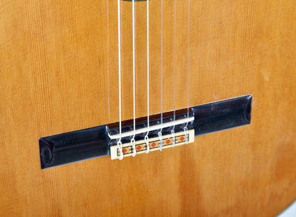 Kodaira Artist AST-50 Handmade Classical Guitar, Solid Cedar, IRW Japan 2000s