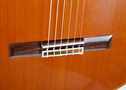 Morris MC-50 Classical Guitar Macassar Ebony Japan 2000s
