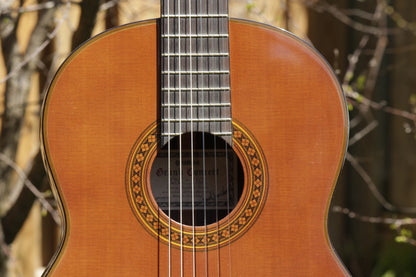 Yamaha GC-11C Grand Concert Classical Guitar 2007 Solid Cedar, IRW
