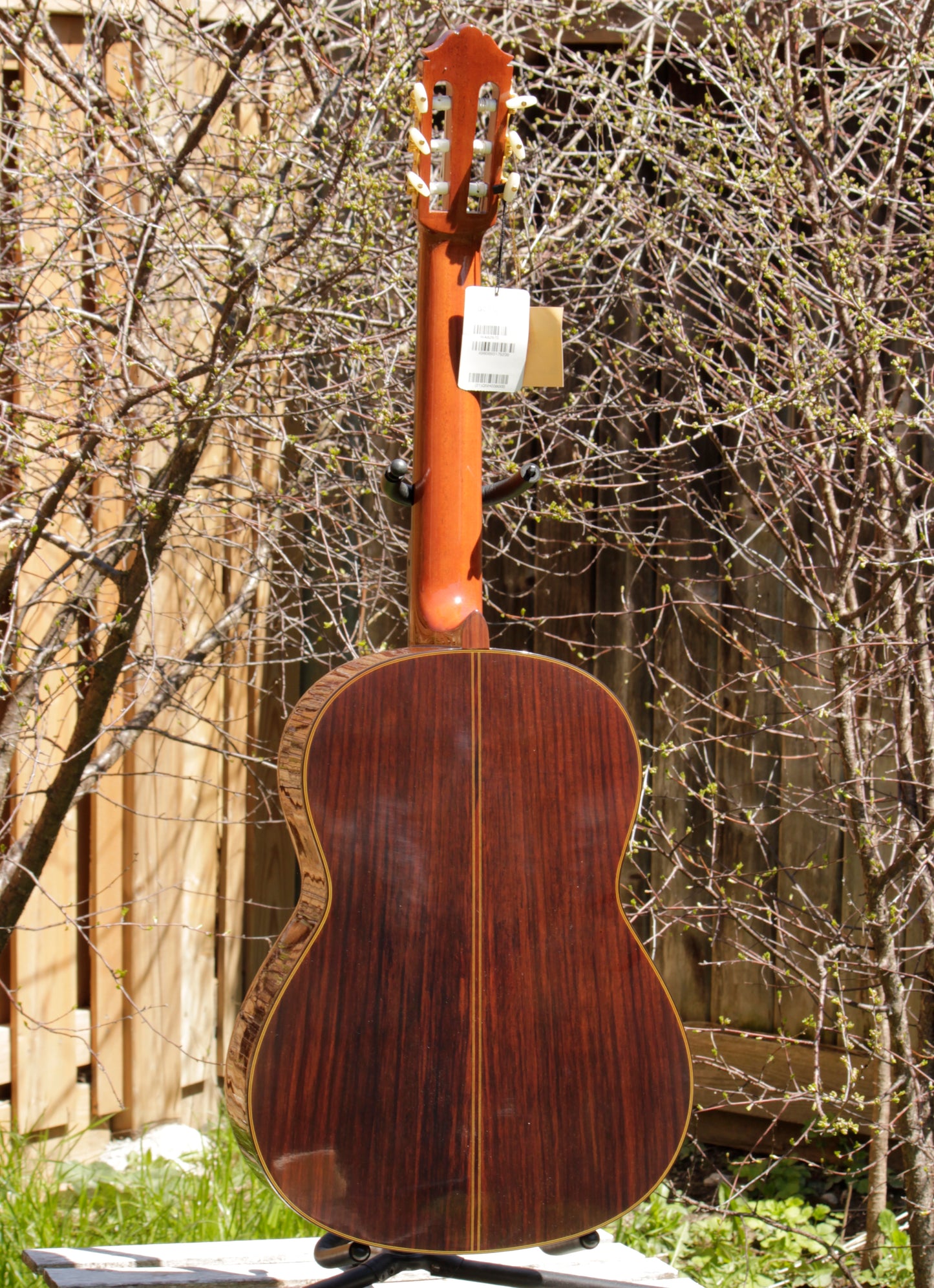 Yamaha GC-11C Grand Concert Classical Guitar 2007 Solid Cedar, IRW