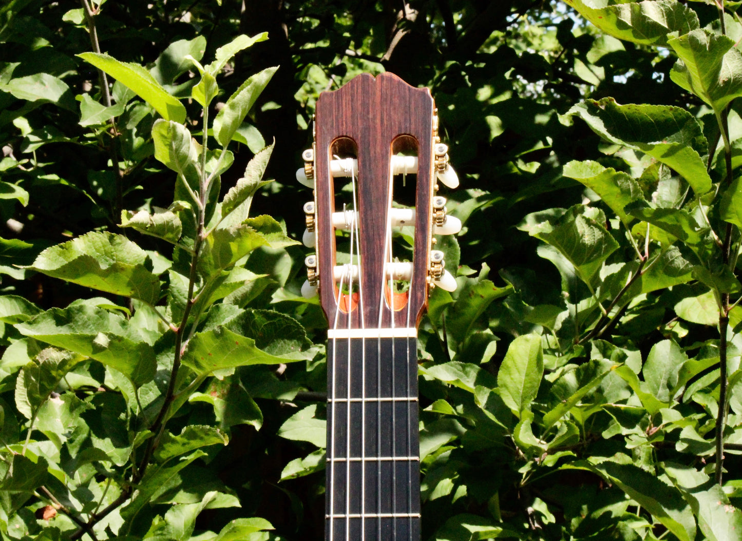 Takamine No 5 Concert Classical Guitar Japan 2000s