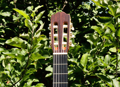 Takamine No 5 Concert Classical Guitar Japan 2000s