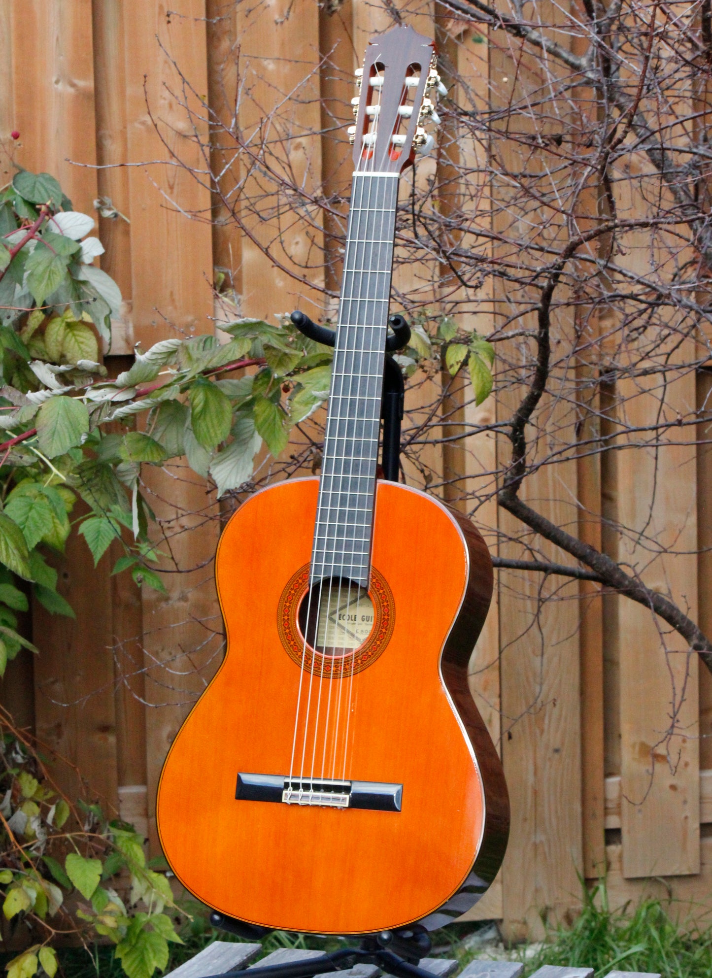 Kodaira Ecole E500 Classical Guitar Japan 1990s
