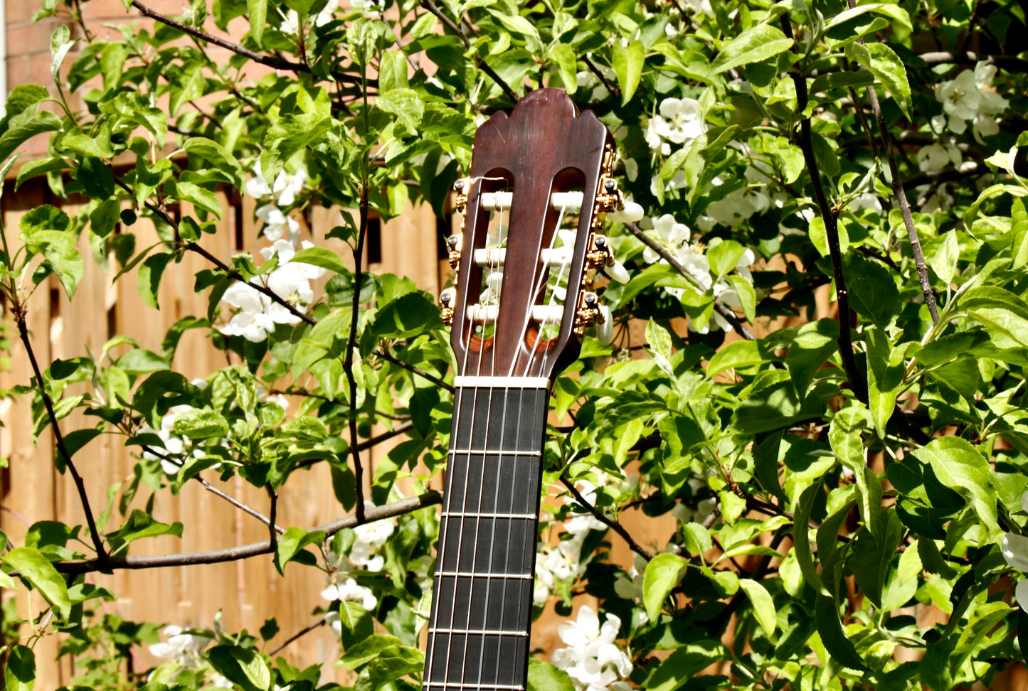 Antonio Sanchez 1017 Handmade Classical Guitar Spain 1999