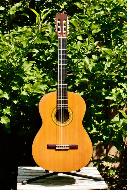 Takamine No 5 Concert Classical Guitar Japan 2000s