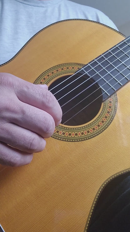 Yamaha GC-20 Concert Classical Guitar Handmade by Toshiro Kato