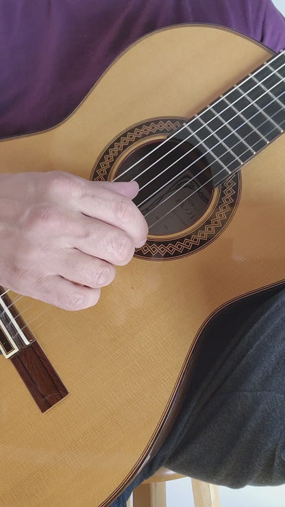 Toru Fujii HDG No. 24 Custom Handmade Concert Classical Guitar Japan (UNIQUE)