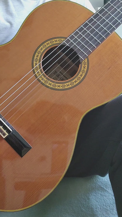 Takamine No 30 Handcrafted Concert Classical Guitar Japan 1982