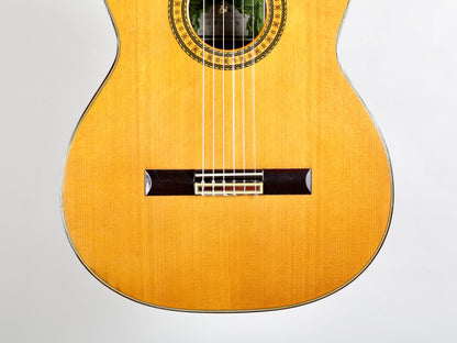Aria AC-30 Concert Classical Guitar Solid Cedar, IRW Back and Sides Japan 1970s