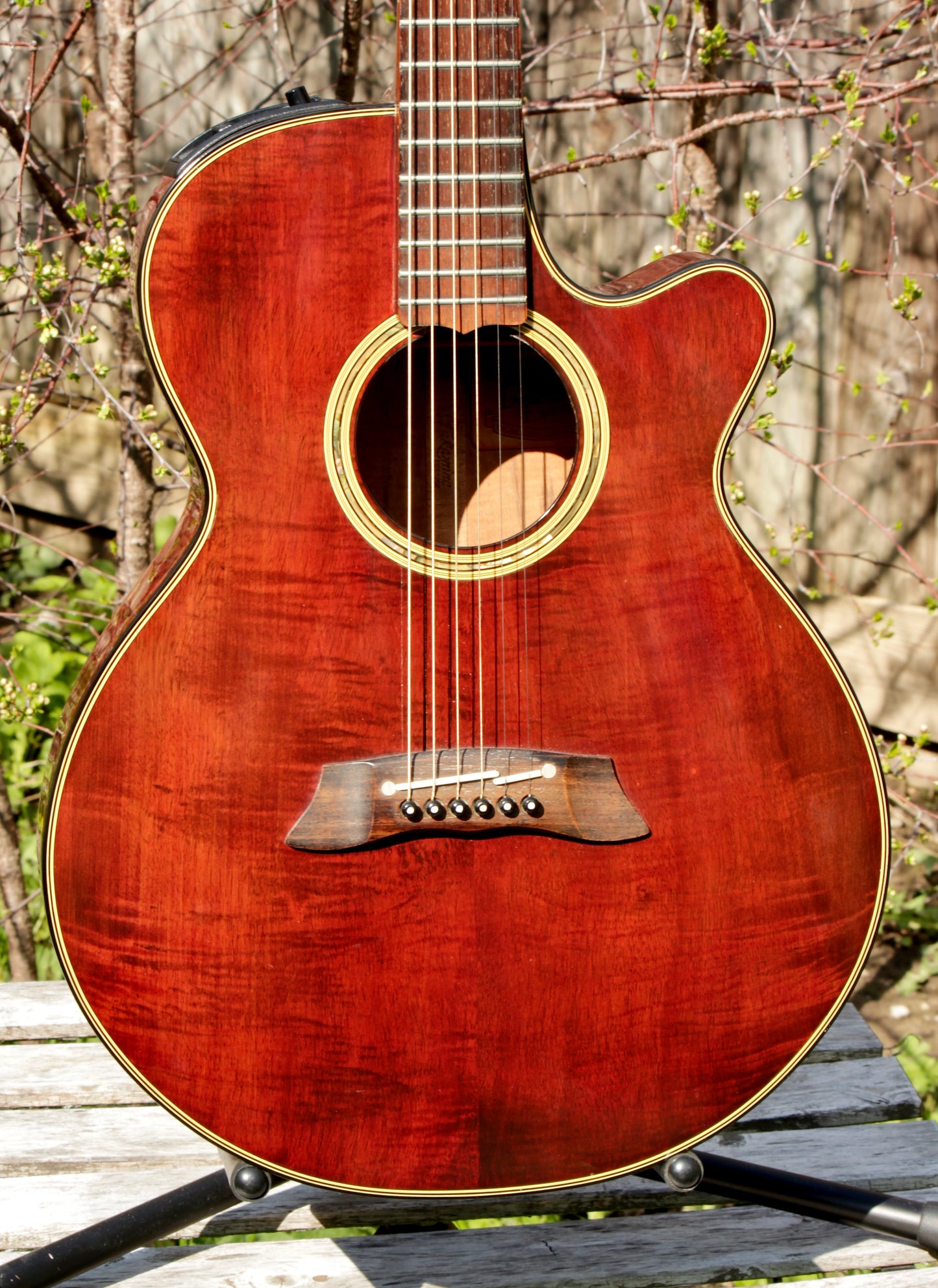 Takamine L1-110 Limited Edition Solid Koa Japan 1988