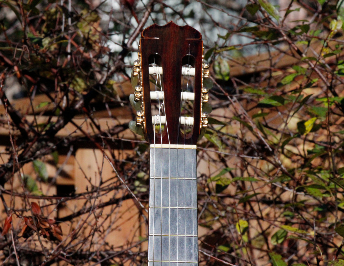 Kazuo Yairi YC80 Handmade Concert Classical Guitar, Brazilian Rosewood Japan 1981