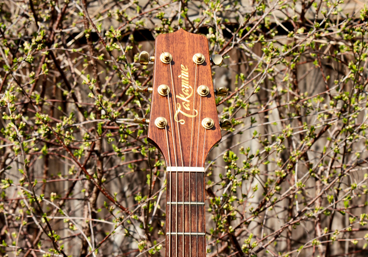 Takamine L1-110 Limited Edition Solid Koa Japan 1988