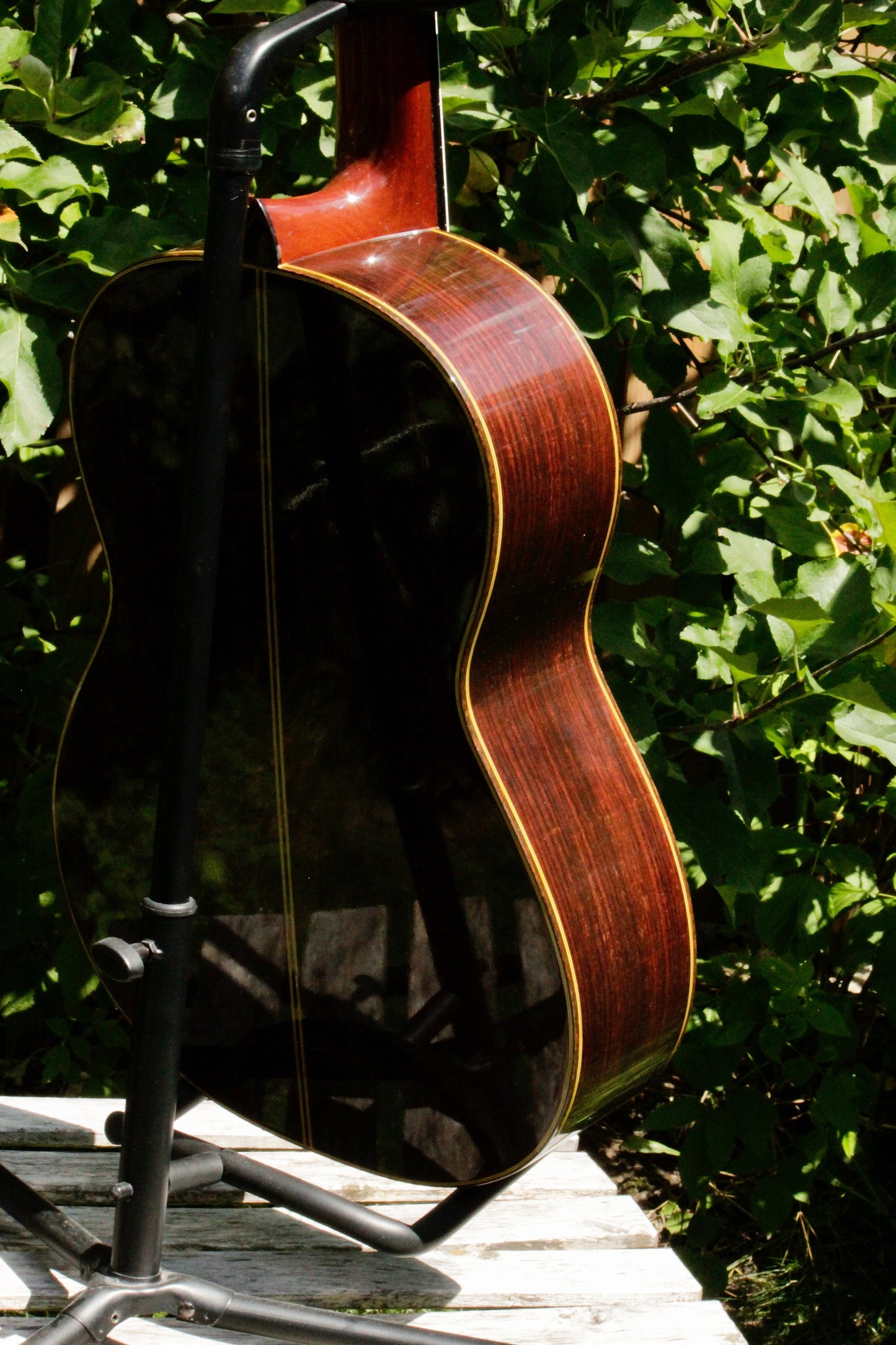 Takamine No 5 Concert Classical Guitar Japan 2000s