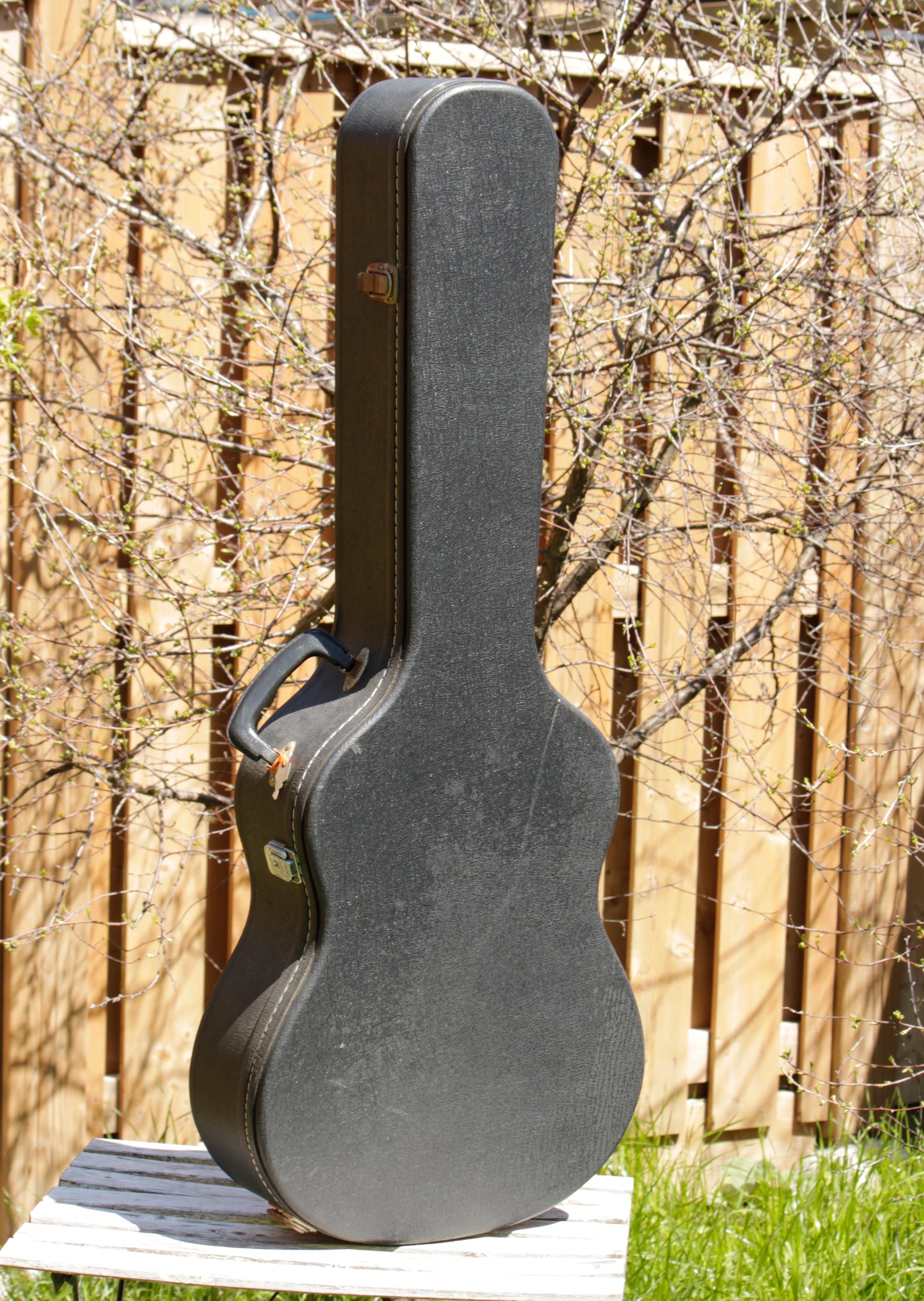 Morris MC-50 Classical Guitar Beautiful BRW Japan 1980s