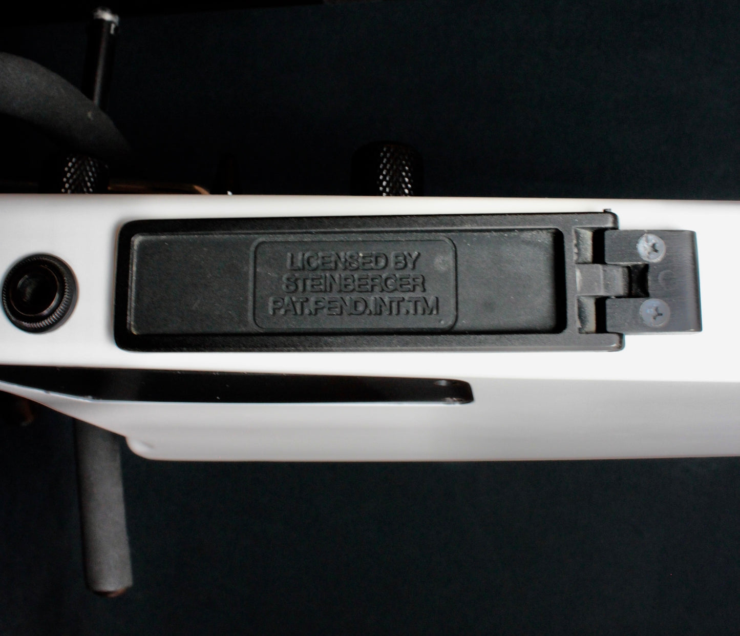 Steinberger Spirit GT-Pro Deluxe 2010 with upgrades